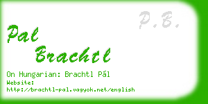 pal brachtl business card