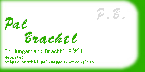 pal brachtl business card